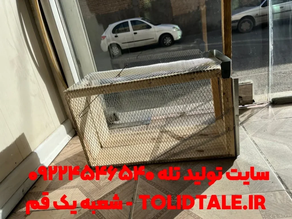 تله گربه