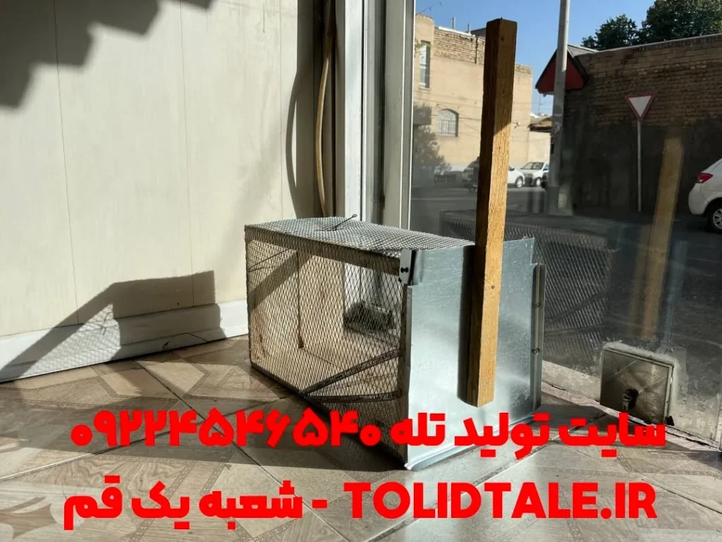 تله گربه