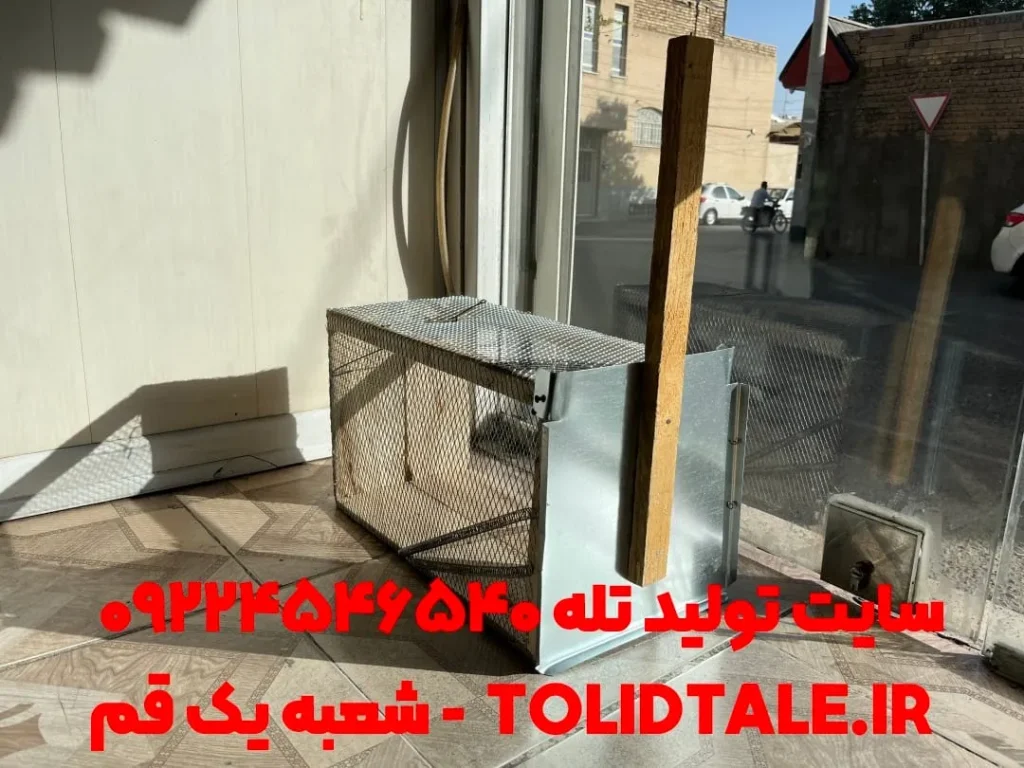 تله گربه