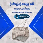 تله پرنده بزرگ