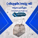 تله پرنده کوچک